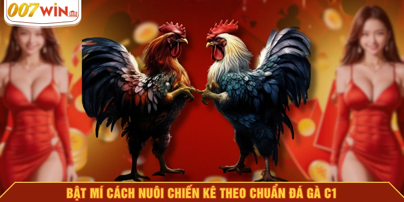 Bật mí cách nuôi chiến kê theo chuẩn đá gà C1 Bật mí cách nuôi chiến kê theo chuẩn đá gà C1