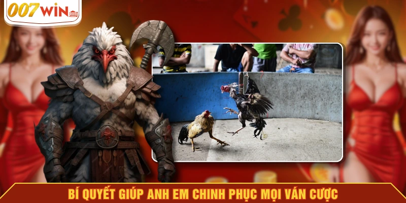 Bí quyết giúp anh em chinh phục mọi ván cược Bí quyết giúp anh em chinh phục mọi ván cược