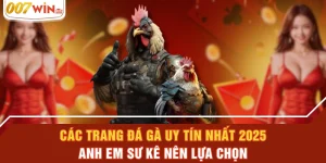 Các Trang Đá Gà Uy Tín Nhất 2025 Anh Em Sư Kê Nên Lựa Chọn