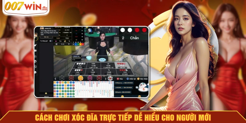 Cách chơi xóc đĩa trực tiếp dễ hiểu cho người mới Cách chơi xóc đĩa trực tiếp dễ hiểu cho người mới
