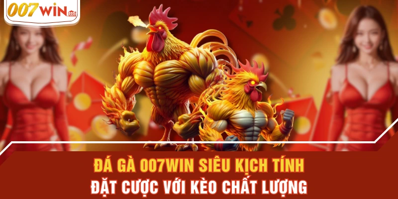 Đá Gà 007WIN Siêu Kịch Tính, Đặt Cược Với Kèo Chất Lượng