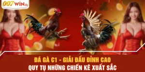 Đá Gà C1 - Giải Đấu Đỉnh Cao Quy Tụ Những Chiến Kê Xuất Sắc