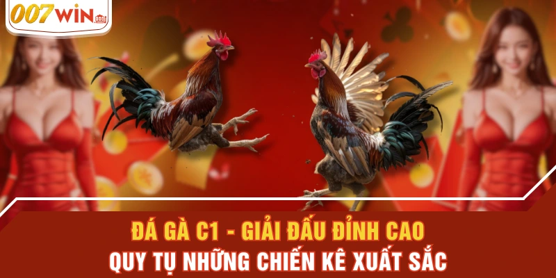 Đá Gà C1 - Giải Đấu Đỉnh Cao Quy Tụ Những Chiến Kê Xuất Sắc