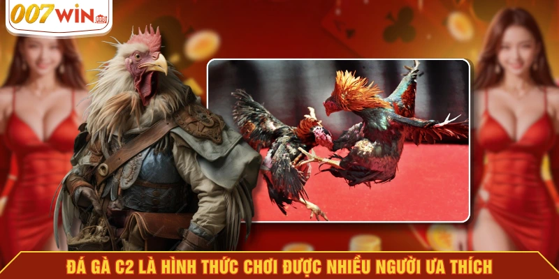 Đá gà C2 là hình thức chơi được nhiều người ưa thích Đá gà C2 là hình thức chơi được nhiều người ưa thích