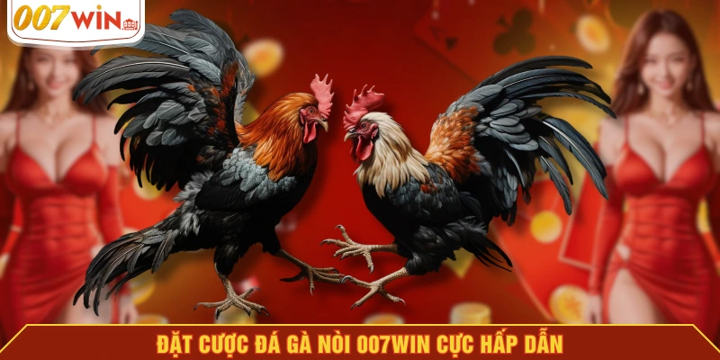 Đặt cược đá gà nòi 007WIN cực hấp dẫn