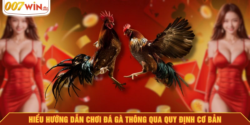 Hiểu hướng dẫn chơi đá gà thông qua quy định cơ bản Hiểu hướng dẫn chơi đá gà thông qua quy định cơ bản