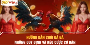 Hướng Dẫn Chơi Đá Gà - Những Quy Định Và Kèo Cược Cơ Bản