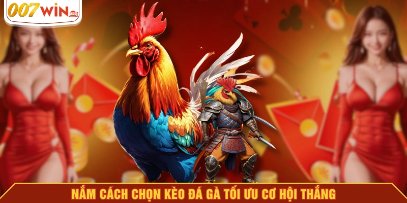 Nắm cách chọn kèo đá gà tối ưu cơ hội thắng Nắm cách chọn kèo đá gà tối ưu cơ hội thắng