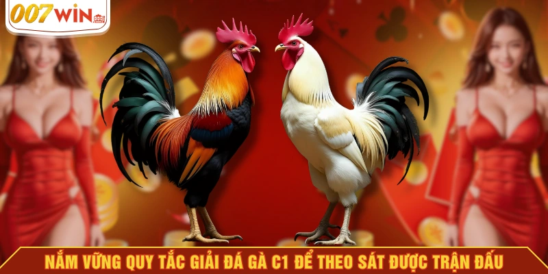 Nắm vững quy tắc giải đá gà C1 để theo sát được trận đấu Nắm vững quy tắc giải đá gà C1 để theo sát được trận đấu