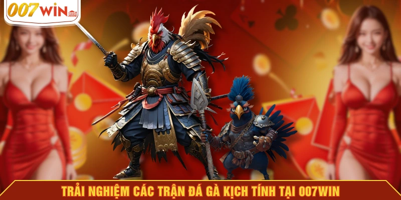 Trải nghiệm các trận đá gà kịch tính tại 007WIN