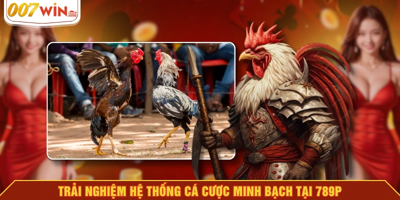 Trải nghiệm hệ thống cá cược minh bạch tại 789P Trải nghiệm hệ thống cá cược minh bạch tại 789P